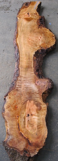 myrtle burl slab 2