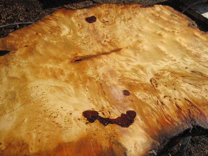 Birdseye Huon Pine Slab