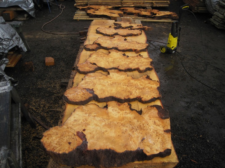 Huon Pine Burls