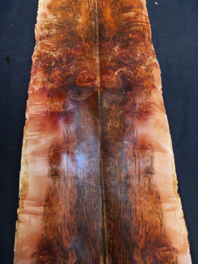 Tiger Myrtle Burl